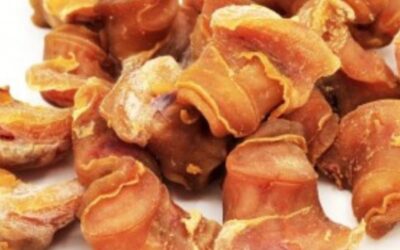 Dried Sea Snail ( Yate/ Kuntrubeja) 200g