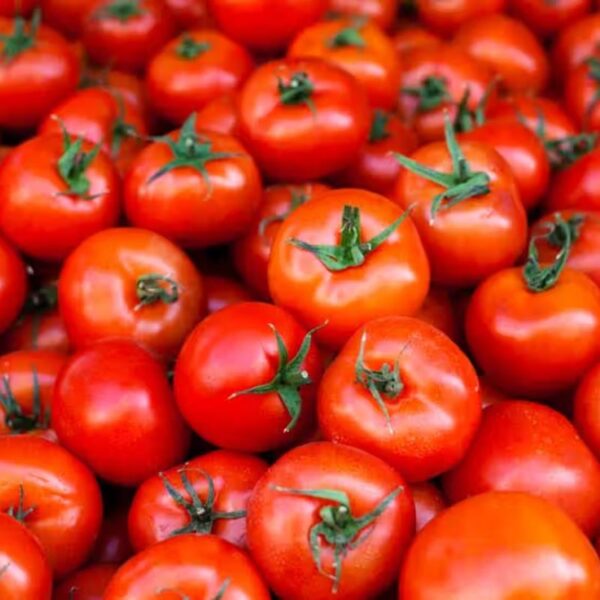 Fresh Tomato - Image 2