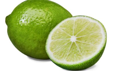 Fresh Lime 4 pieces