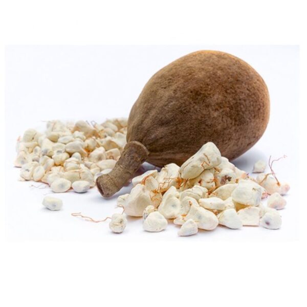 Organic Baobab Fruit (Bouye) - Image 2