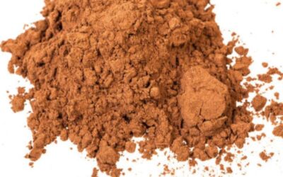 Locust Beans Powder (Natehtu)
