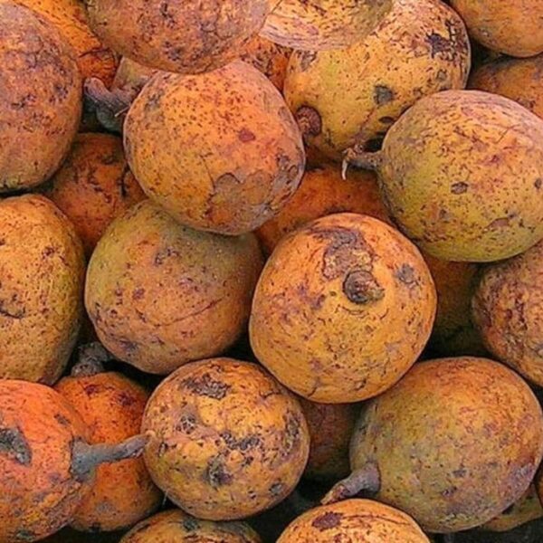 Saba Fruit (Kaba) - Image 2