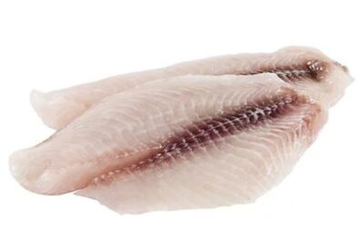 Cat Fish Fillet