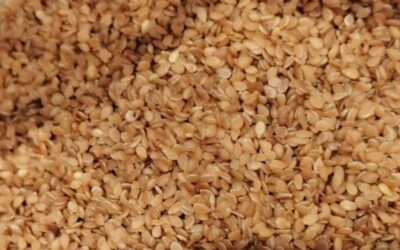 Fermented Sesame Seeds (Ogiri) 50g