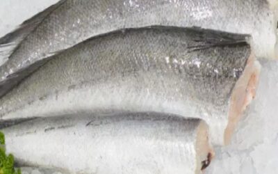 Hake Fish 1kg