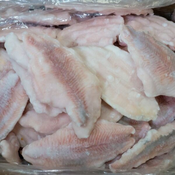 Cat Fish Fillet - Image 2