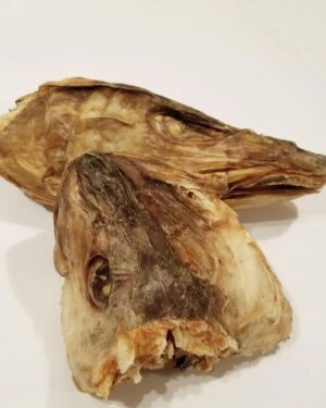 Dried Stockfish Head