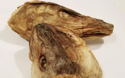 Dried Stockfish Head