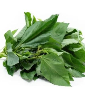 Fresh Molokhia (Kreng Kreng/ Ewedu) 400g