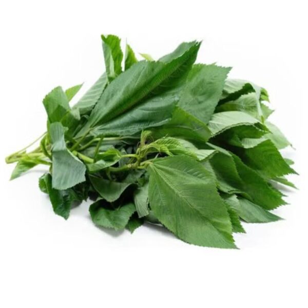 Fresh Molokhia (Kreng Kreng/ Ewedu) 400g