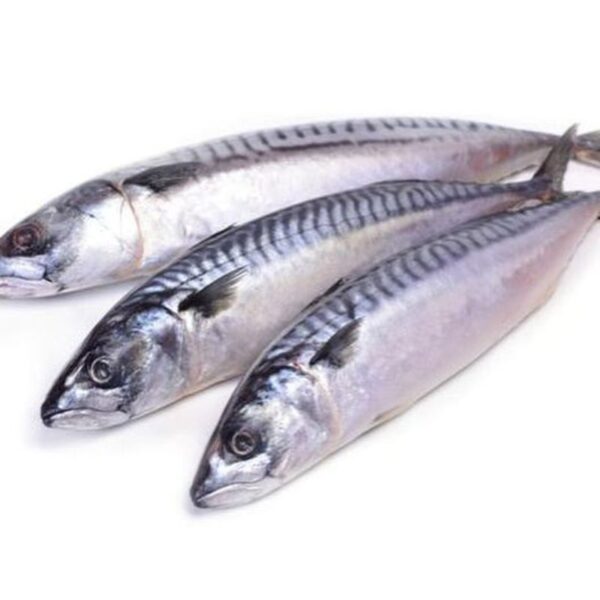 Mackerel Fish 3 Pieces 500-600g