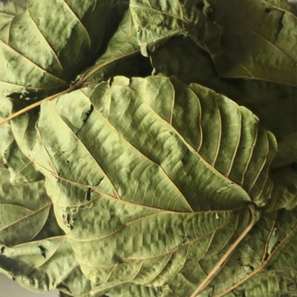 Lippus Chevaleri Tea Leaves (Mborr Mborr) 50g