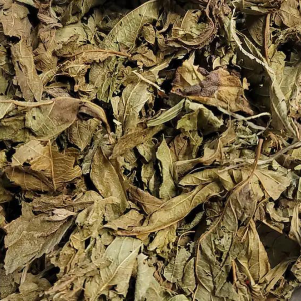 Lippus Chevaleri Tea Leaves (Mborr Mborr) 50g - Image 2