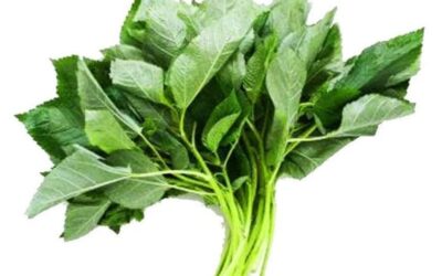 Fresh Green Leaves (Callaloo/ Tete) 1 Bunch