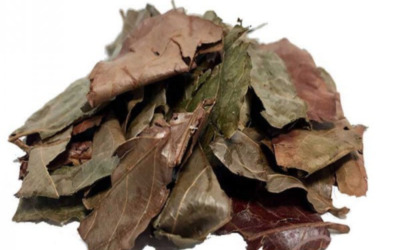 Kinkeliba Herbal Tea Leaves 50g