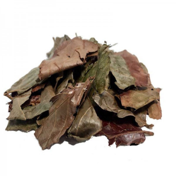 Kinkeliba Herbal Tea Leaves 50g