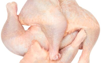 Hard Chicken Legs