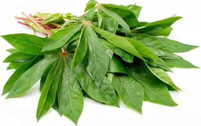 Frozen Cassava Leaves (Poundo) 500g