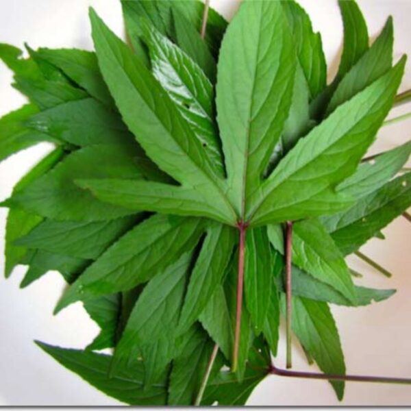 Frozen Sour Sour leaves (Bishap) 400g
