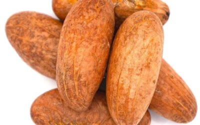 Bitter Kola Nuts (Gurru) 3 Pieces