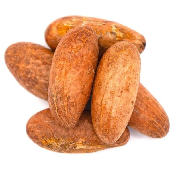 Bitter Kola Nuts (Gurru) 3 Pieces