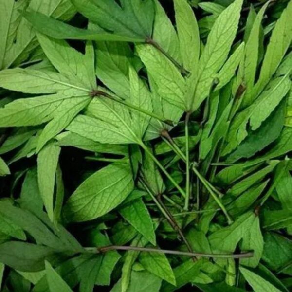 Frozen Sour Sour leaves (Bishap) 400g - Image 2
