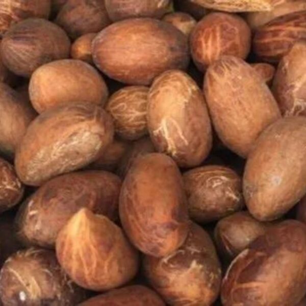 Bitter Kola Nuts (Gurru) 3 Pieces - Image 2