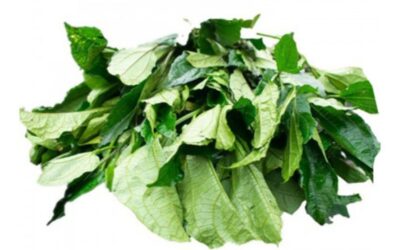 Frozen Pumpkin Leaves (Ugu) 400g