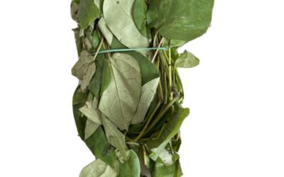Fresh Uziza Leaves 1 Bunch
