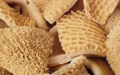 Cow Tripe (Belleh) 1kg