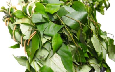 Frozen Uziza Leaves 200g
