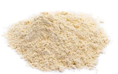 Galic Powder 100g