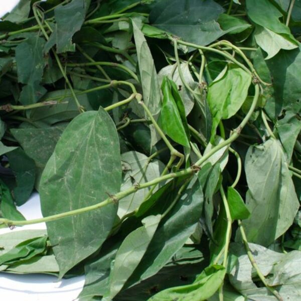 Frozen Uziza Leaves 200g - Image 2