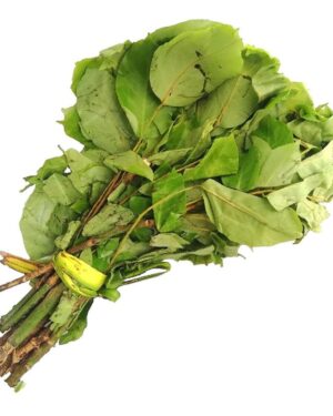 Fresh Uziza Leaves 1 Bunch