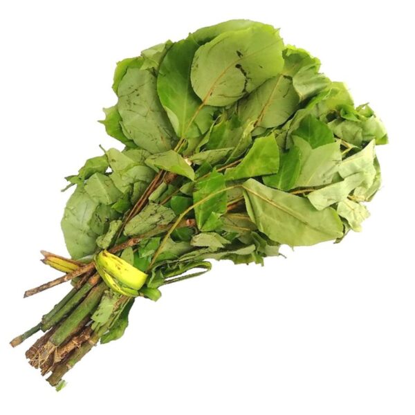 Fresh Uziza Leaves 1 Bunch