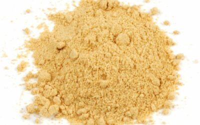 Ginger Powder 100g