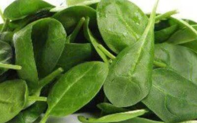 Frozen Oha Leaves 400g