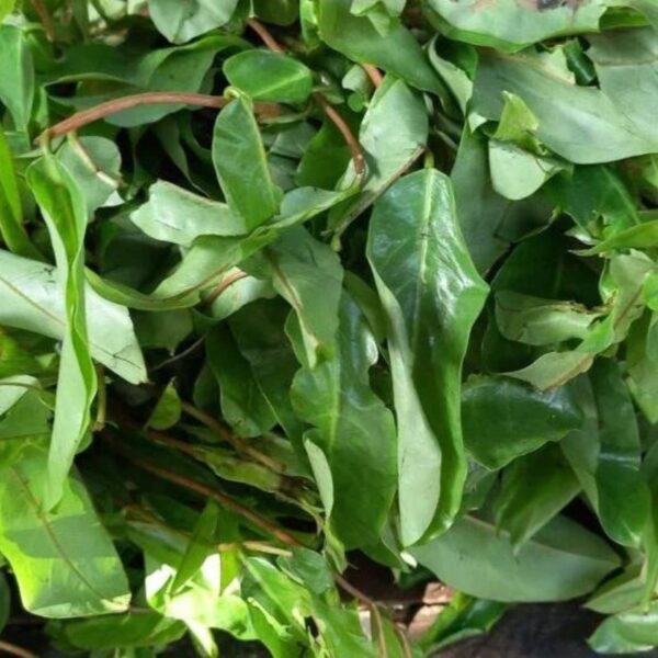 Frozen Oha Leaves 400g - Image 2