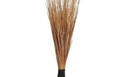 African Broom