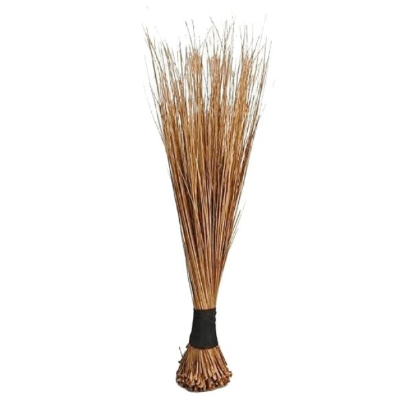 African Broom