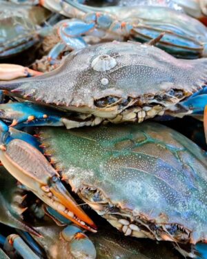 Frozen Crabs 1kg