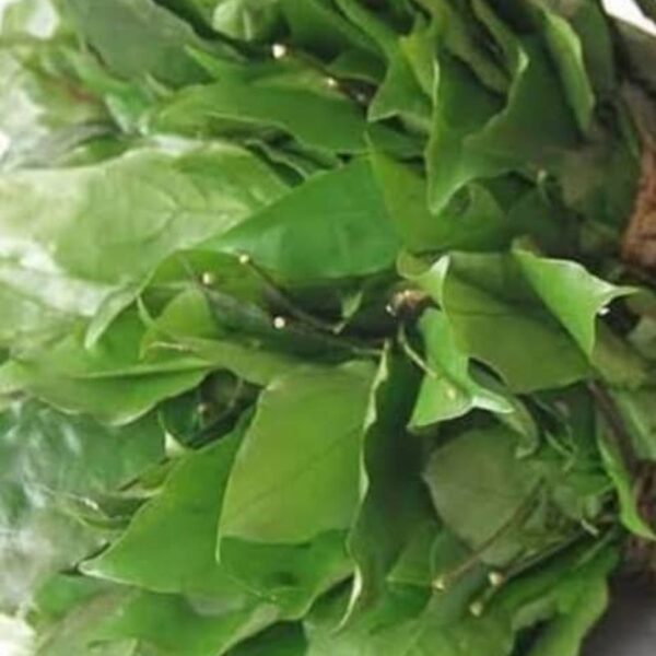 Frozen Okazi Leaves 100g - Image 2