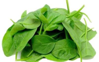 Frozen Spinach Leaves 500g