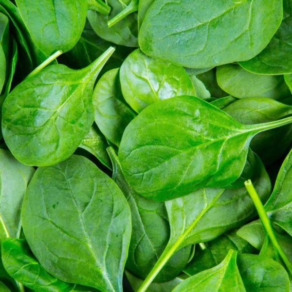 Frozen Spinach Leaves 500g - Image 2