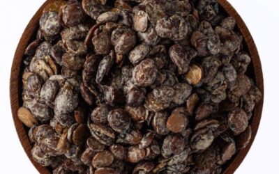 Fresh Locust Beans (Netehtu)