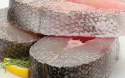 Barracuda Fish 1kg