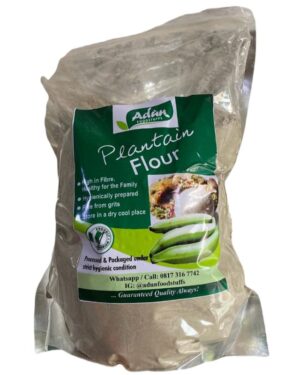 Adun Plantain Flour
