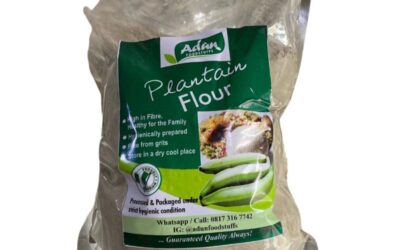 Adun Plantain Flour