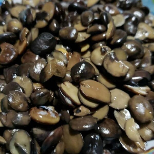 Fresh Locust Beans (Netehtu) - Image 2