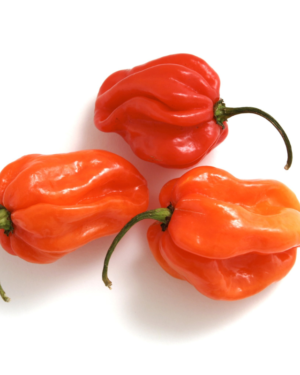 Scotch Bonnets (Kani) 200g